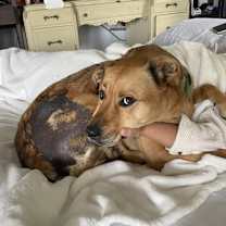 Thumbnail photo of Lily #2