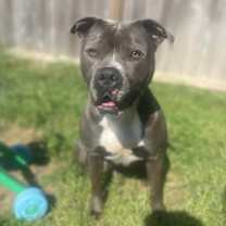 Thumbnail photo of Zeus #1