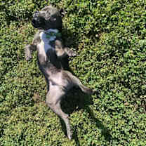 Thumbnail photo of Zeus #2