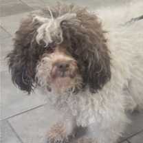 Thumbnail photo of Sasha #4