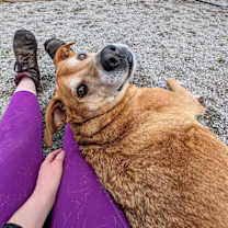 Thumbnail photo of Baxter #2