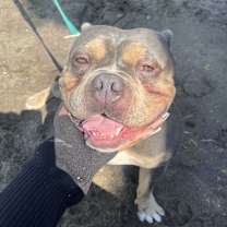 Thumbnail photo of Biggie #3