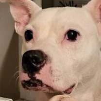 Thumbnail photo of Baby Girl #1