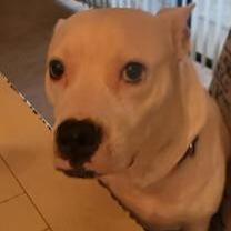 Thumbnail photo of Baby Girl #3