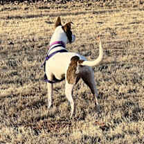 Thumbnail photo of Bailee #2