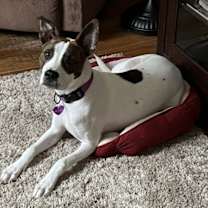 Thumbnail photo of Bailee #4