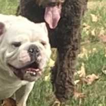 Thumbnail photo of Jax #2