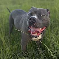 Thumbnail photo of Zeus #4