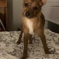 Thumbnail photo of Motley #1