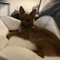 Thumbnail photo of Motley #4