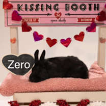 Thumbnail photo of Zero #1