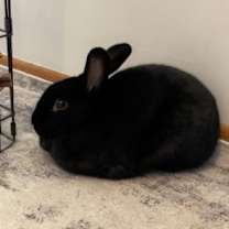 Thumbnail photo of Zero #2