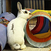 Thumbnail photo of Billie #4
