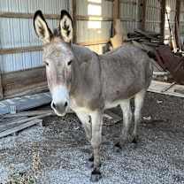 Thumbnail photo of Ethel #2
