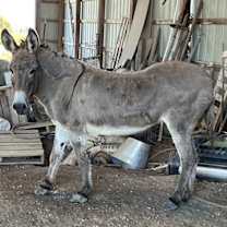 Thumbnail photo of Ethel #3