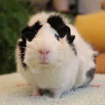Thumbnail photo of Vivienne #2