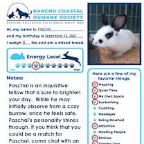 Thumbnail photo of Paschal #4