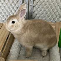 Thumbnail photo of Jasper #3