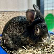 Thumbnail photo of Happy #2