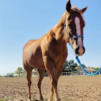 Thumbnail photo of Kate #2