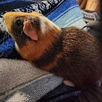 Thumbnail photo of Walter #3