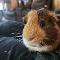 Thumbnail photo of Walter #4