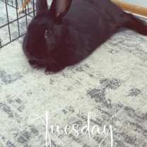Thumbnail photo of Zero #3