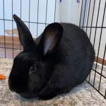 Thumbnail photo of Zero #4