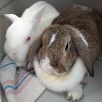 Thumbnail photo of Forever in Our Care: Candy #2