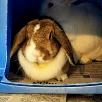 Thumbnail photo of Forever in Our Care: Candy #3