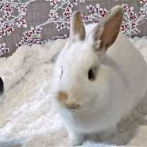 Thumbnail photo of Harper #4