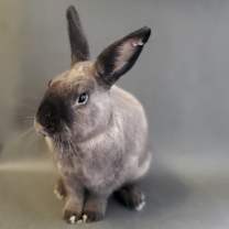 Thumbnail photo of Oatmeal #2