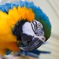 Thumbnail photo of Lindy #2