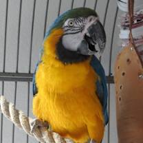 Thumbnail photo of Lindy #4