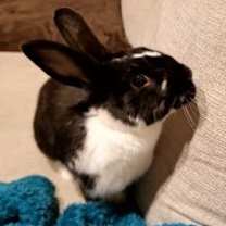 Thumbnail photo of Charlie Kale #1