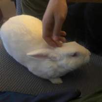 Thumbnail photo of Monty Python (#2) #3