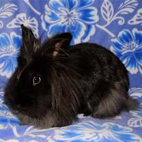 Thumbnail photo of Brenda #1