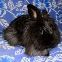 Thumbnail photo of Brenda #3