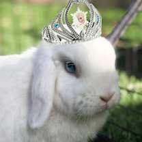 Thumbnail photo of Elsa #1