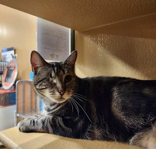 Photo of Stormy