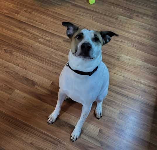 Photo of Roo