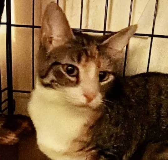 Photo of Mona