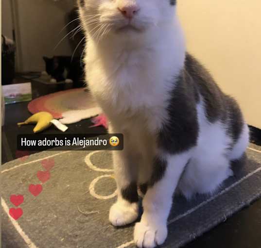 Photo of Alejandro