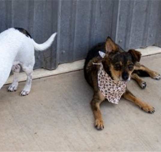 Photo of Layla & Mila