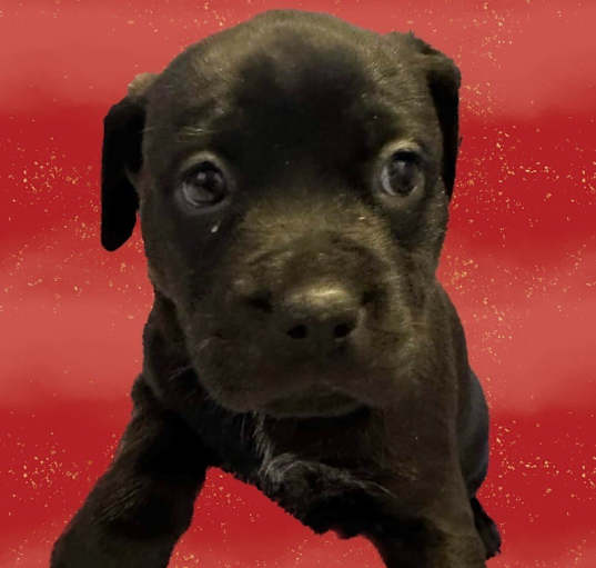 Photo of Neo