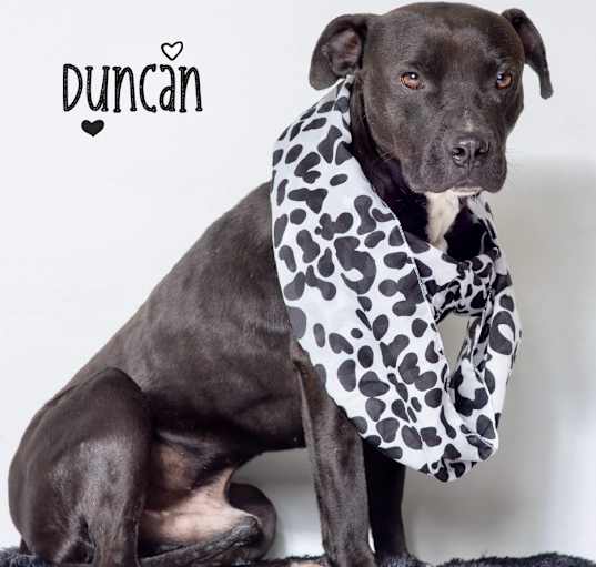 Photo of Duncan