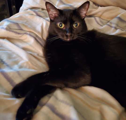 Photo of Sammie