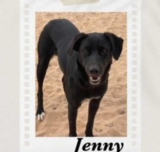 Photo of Jenny