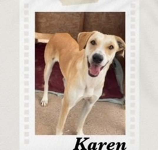 Photo of Karen