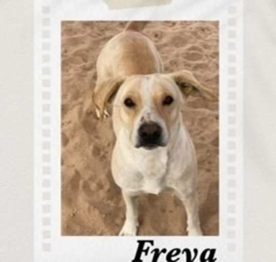 Photo of Freya